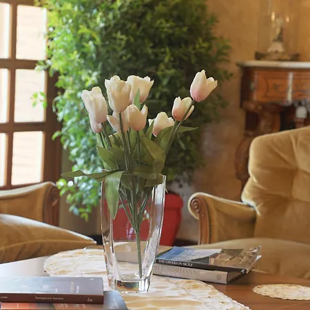 Diana Агрідженто