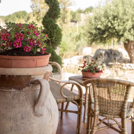 Diana Готель типу 