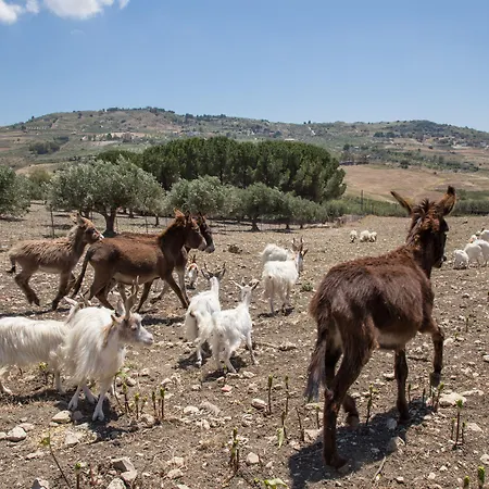 Diana 4* Agrigente