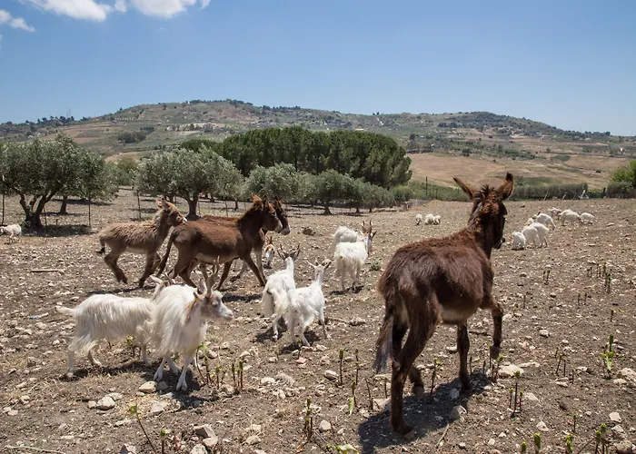 Diana 4* 阿格里真托